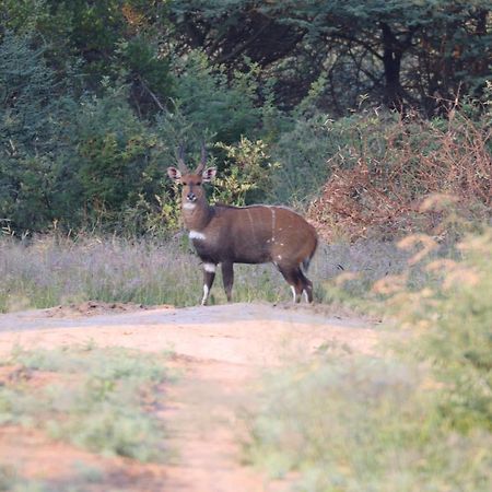 Ngangane Lodge & Reserve Francistown Extérieur photo