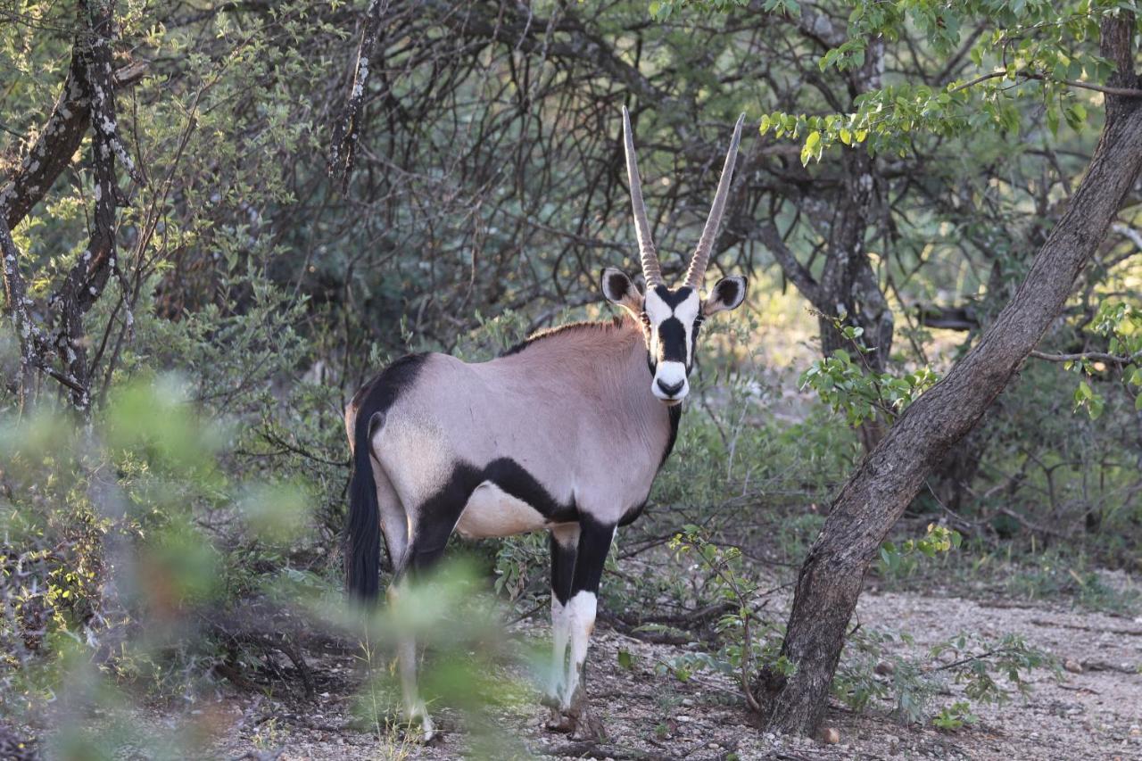 Ngangane Lodge & Reserve Francistown Extérieur photo
